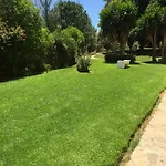 Aguila * Benalmádena
